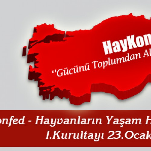 HayKonfed I. Kurultayı’nı İstanbul’da Gerçekleştiriyor.