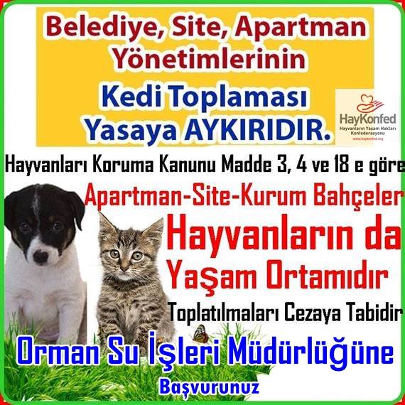 16 Site Apartman Kurum Bahceleri Hayvanlarin Yasam Ortamidir Haykonfed Hayvanlarin Yasam Haklari Konfederasyonu