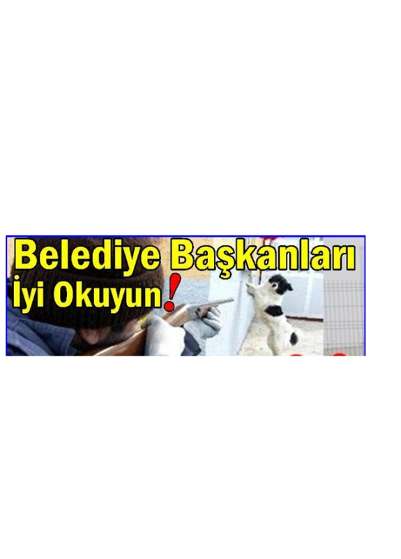 19 Belediye Baskanlarina Uyusturucu Anestetik Ilac Sadece Veteriner Hekim Tarafindan Uygulanir Haykonfed Hayvanlarin Yasam Haklari Konfederasyonu