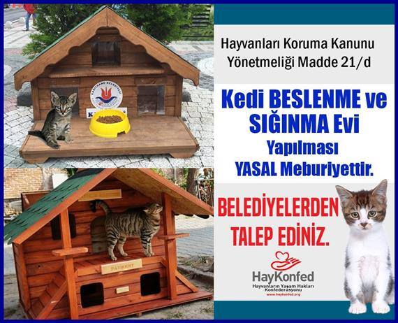 13 Belediyeler Kedi Beslenme Ve Siginma Evi Yasal Olarak Yapmak Zorunda Talep Ediniz Haykonfed Hayvanlarin Yasam Haklari Konfederasyonu