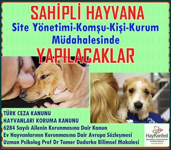 13 Sahipli Hayvana Komsu Site Kurum Kisi Ve Resmi Kurumlardan Gelen Baski Ve Tehdit Durumunda Haykonfed Hayvanlarin Yasam Haklari Konfederasyonu