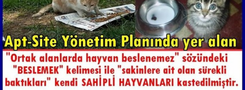 6 Kedilere Savas Acan Site Yonetimlerine Haykonfed Hayvanlarin Yasam Haklari Konfederasyonu