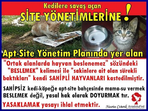 6 Kedilere Savas Acan Site Yonetimlerine Haykonfed Hayvanlarin Yasam Haklari Konfederasyonu