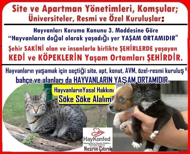 19 Sahipsiz Kedi Ve Kopekleri Site Bahcelerinde Istemeyen Torbalattirip Attiran Yok Ettiren Zehirleyen Yemek Su Kaplarini Attiran Insanimsi Komsu Ve Site Apt Kurum Ve Kurulus Yoneticilerine Gonderilecek Tum Yasa Maddelerini De Iceren