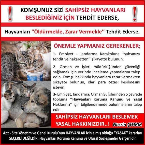 1 Sahipsiz Hayvanlari Besledigimizde Komsu Site Yonetimi Mudahalesinde Yapilacaklar Haykonfed Hayvanlarin Yasam Haklari Konfederasyonu