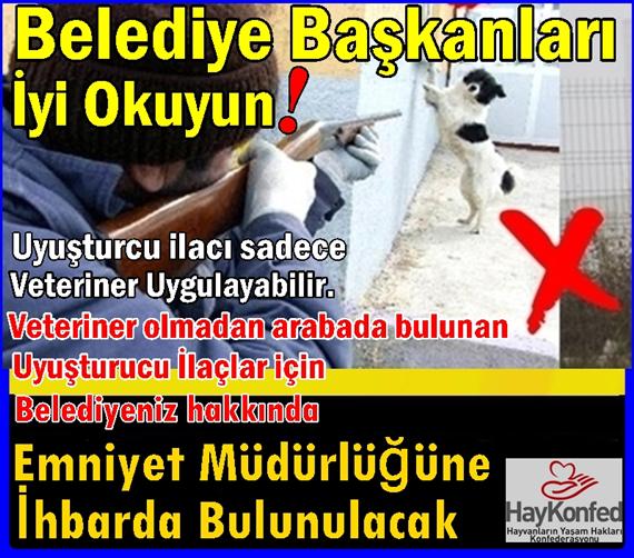 19 Belediye Baskanlarina Uyusturucu Anestetik Ilac Sadece Veteriner Hekim Tarafindan Uygulanir Haykonfed Hayvanlarin Yasam Haklari Konfederasyonu