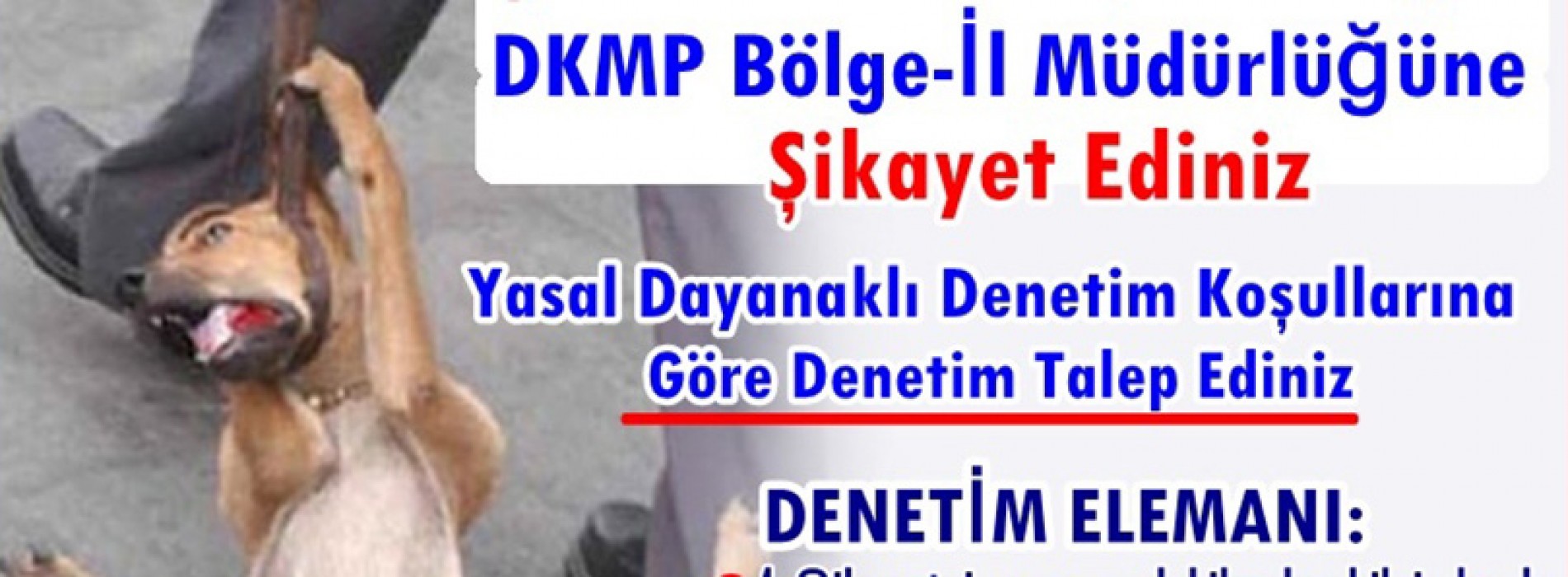 27 Sahipli Hayvana Sahibinden Kotu Muamele Eziyet Vahset Durumunda Dkmp Bolge Ve Il Mudurlugune Sikayet Edip Yasal Dayanakli Denetim Uygulama Kosullarini Uygulayarak Denetim Yapmalarini Talep Ediniz Haykonfed Hayvanlarin Yasam Haklari