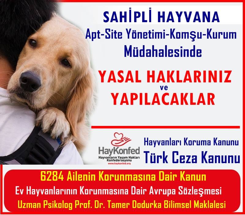 18 Sahipli Hayvana Komsu Site Yonetim Kurum Zabita Muhtar Kisi Ve Resmi Kurumlardan Gelen Baski Ve Tehdit Durumunda Muhataba Ve Tarim Orman Dkmp Il Mudurluklerine Gonderilecek Ornek Yazilar Haykonfed Hayvanlarin