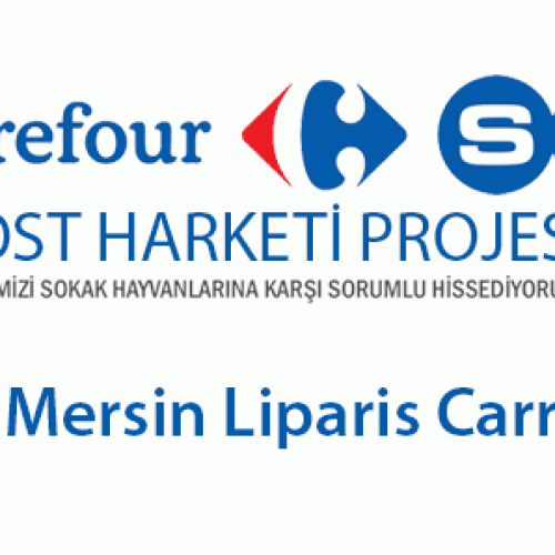 Teşekkürler Mersin Liparis CarrefourSA