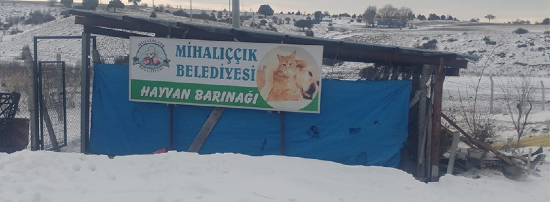 Eskişehir/Mihalıççık Belediyesi Yetkisiz Zabıta Ekibine Köpek Toplarak Kanuna Aykırı Barınağına Hapsetti