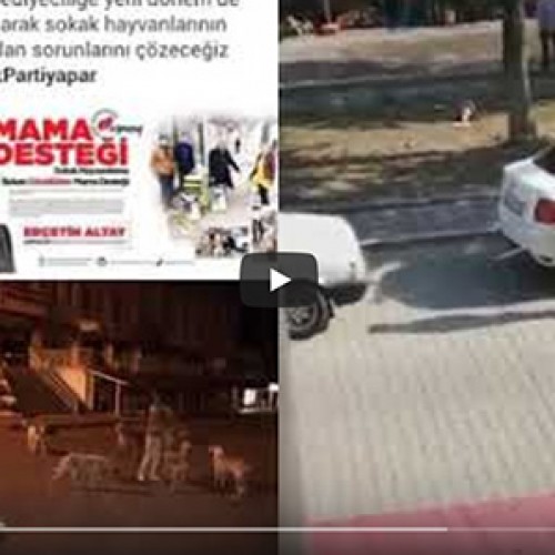 Kars/Arpaçay Belediyesi ÇÖP ARABASIYLA Köpekleri TOPLAYARAK BİLİNMEZE GÖTÜRDÜ.