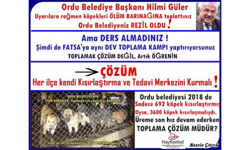 Ordu Büyükşehir Belediye Başkanı Hilmi Güler, Suçlu aramayın, SUÇLU SİZSİNİZ!