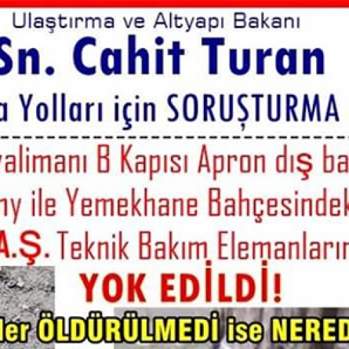 Ulaştırma Bakanlığı Soruşturma Talebi: Atatürk Havalimanı Apron Dış Bahçelerindeki Kediler THY Teknik A.Ş Yetkililerince Yok Edildi!