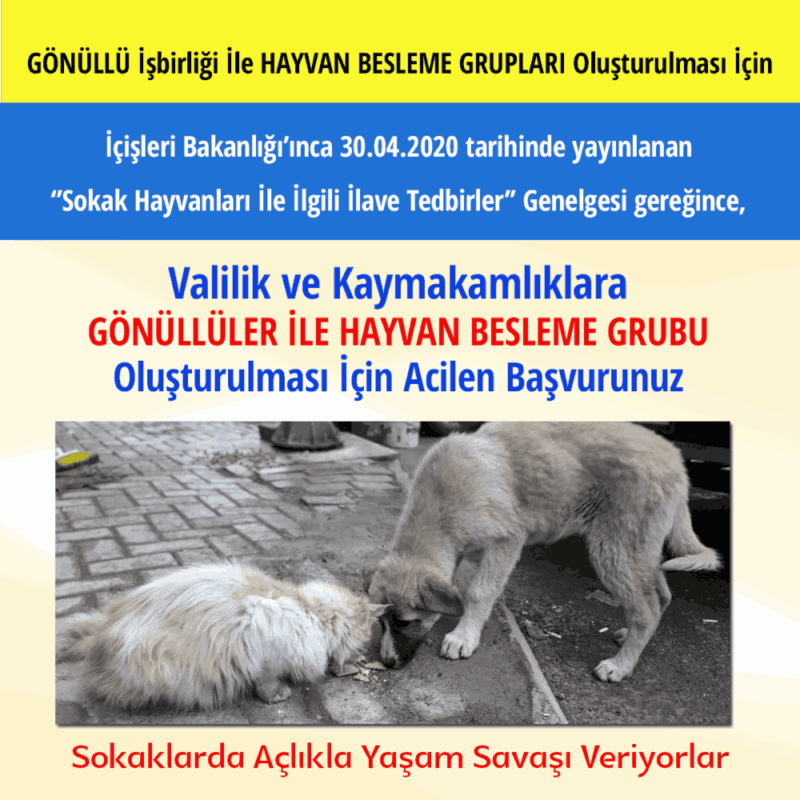 Gonulluler Ile Hayvan Besleme Gruplari Olusturulmasi Icin Acilen Valilik Ve Kaymakamliklara Basvurunuz Dilekce Ektedir Haykonfed Hayvanlarin Yasam Haklari Konfederasyonu