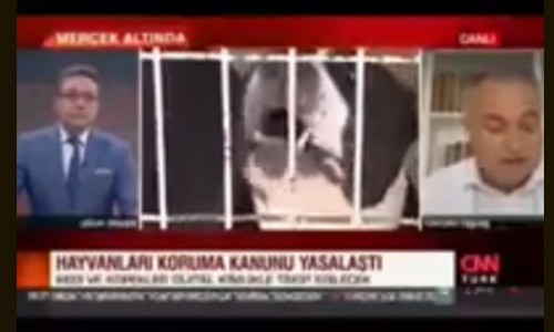 CNN TÜRK Katliam Yasası HayKonfed Başkan Yardımcısı Haydar Özkan Konuşması