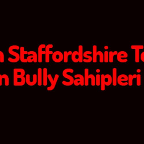 American Staffordshire Terrier ve American Bully Köpek Sahiplerinin ÖNEMLE BİLGİSİNE: