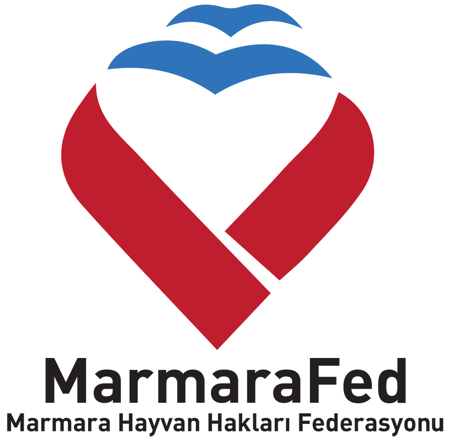 marmarafed_2019_logo